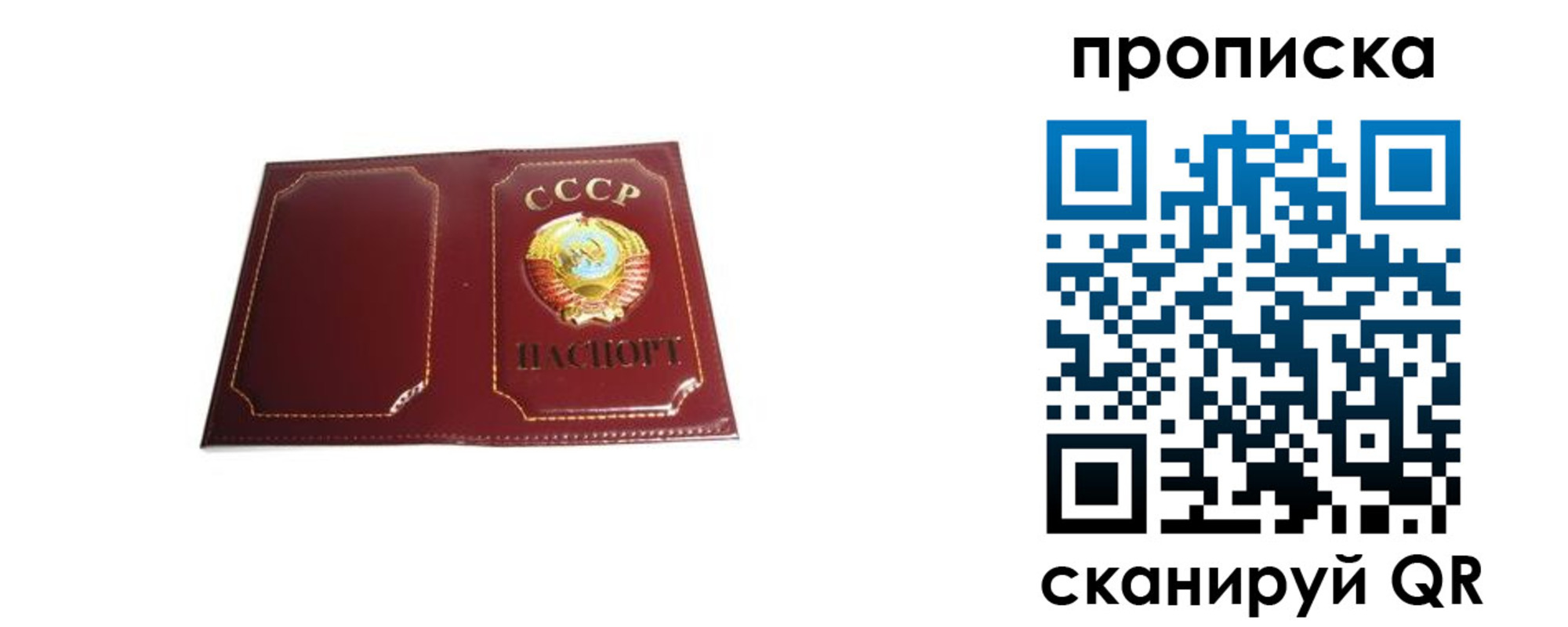 прописка гарантия в Белореченске